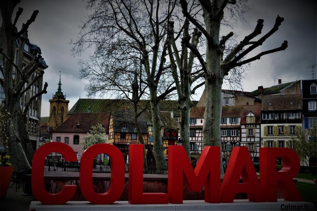 Sainte-Croix-en-Plaine Charmant Appartement Cosy Porte De Colmar מראה חיצוני תמונה