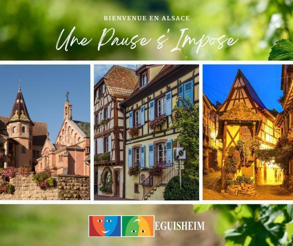 Sainte-Croix-en-Plaine Charmant Appartement Cosy Porte De Colmar מראה חיצוני תמונה