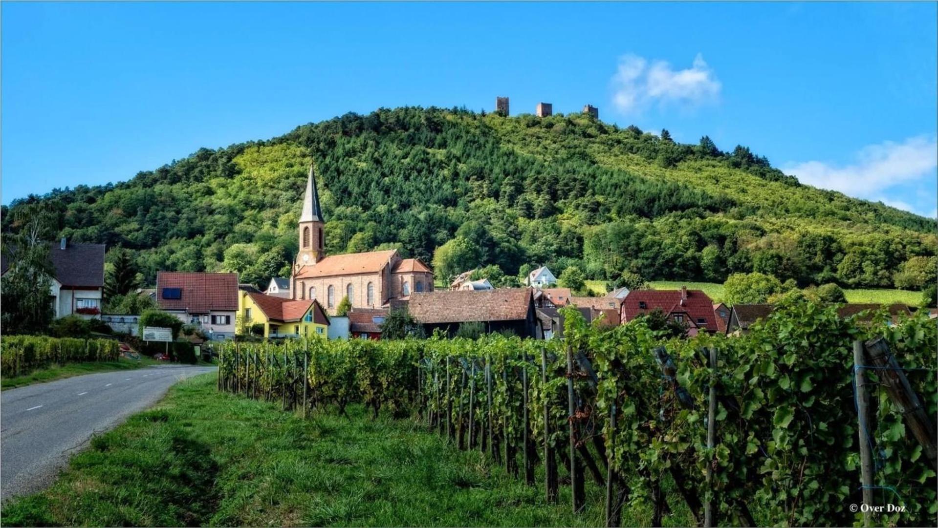 Sainte-Croix-en-Plaine Charmant Appartement Cosy Porte De Colmar מראה חיצוני תמונה